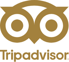 IleDuGua_icon_Tripadvisor